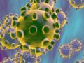 CORONAVIRUS: il virus galante