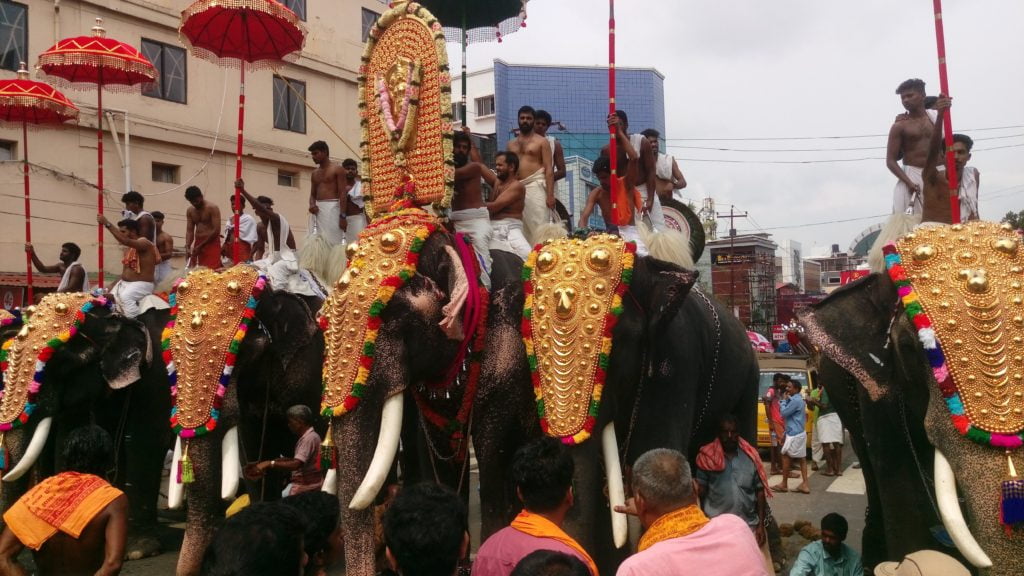 kerala festival elefanti ornamenti in oro viaggio in india