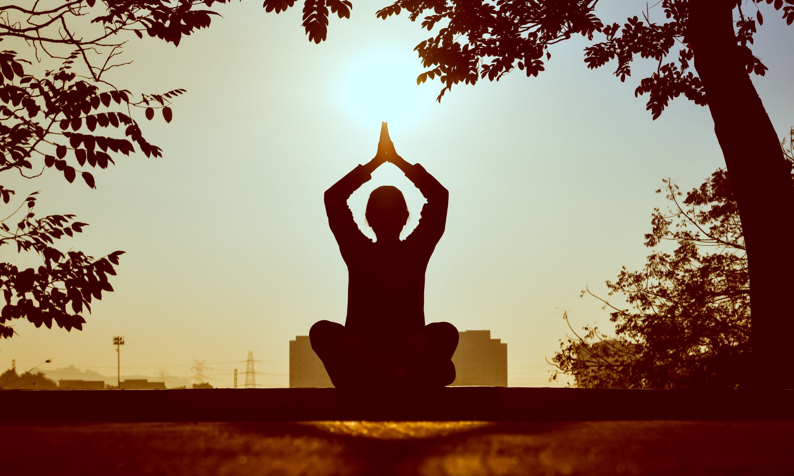 Viaggi yoga: tutti i benefici per la salute psicofisica