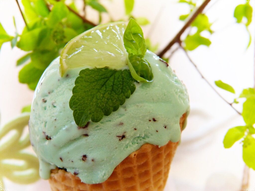 gelato vegan gelato vegano menta cioccolato cono gelato