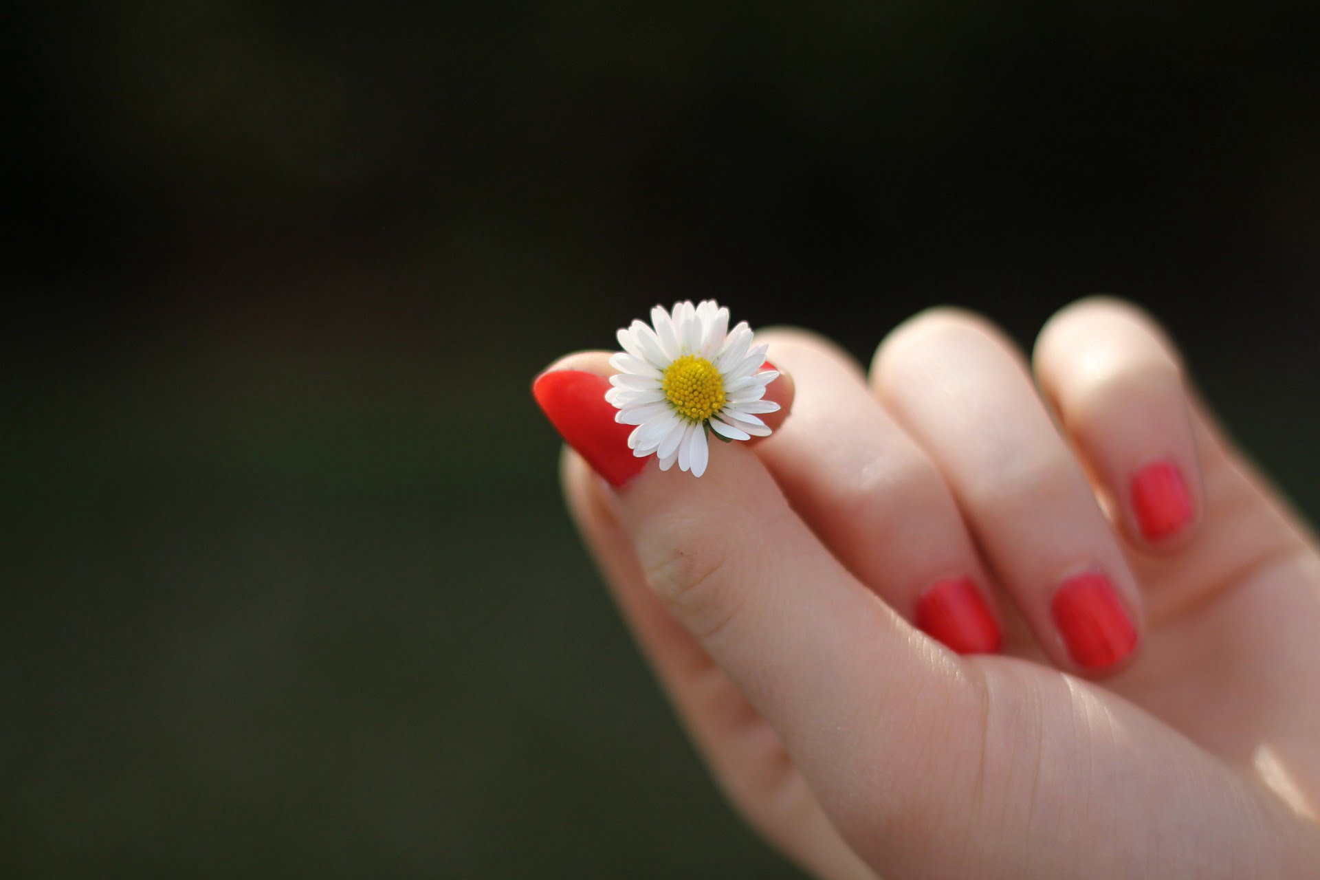 10 rimedi naturali per far crescere le unghie più velocemente
