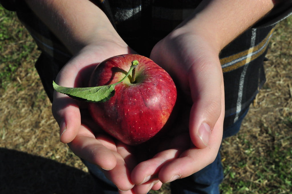 Rimedi naturali per alleviare l'eczema: aceto di mele
