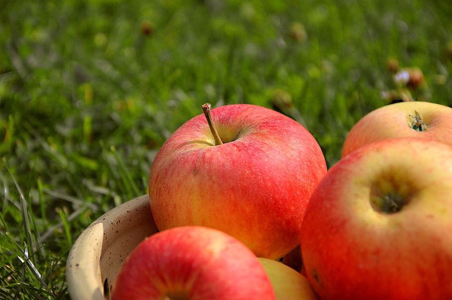 Rimedi naturali contro la diarrea: aceto di sidro di mele