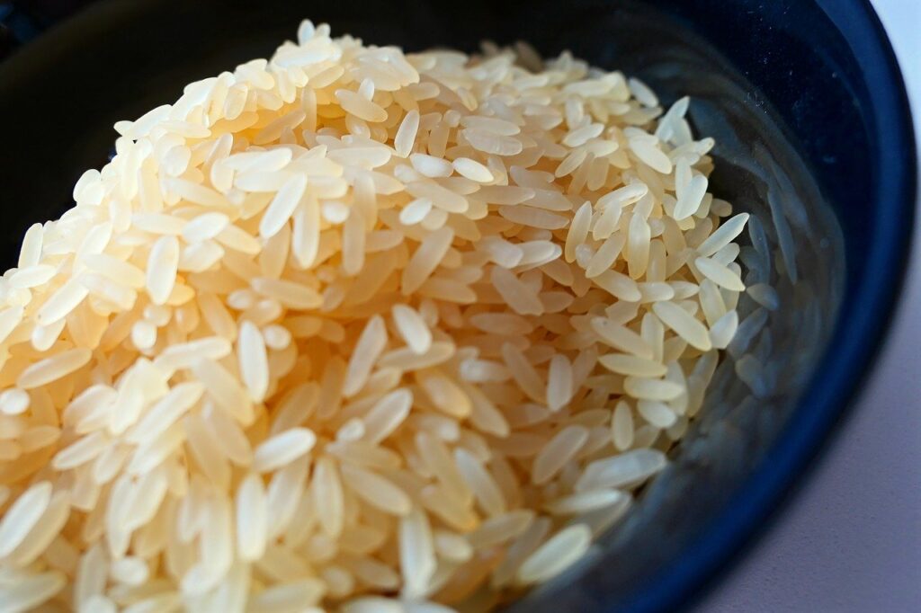 insalata di riso riso in scodella