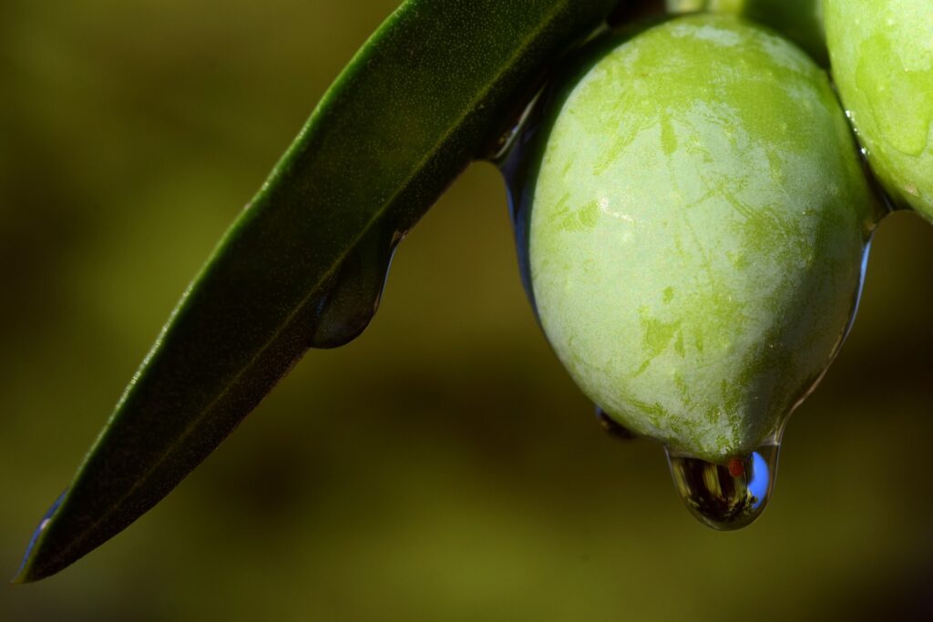 Rimedi naturali per alleviare l'eczema: olio extravergine d'oliva