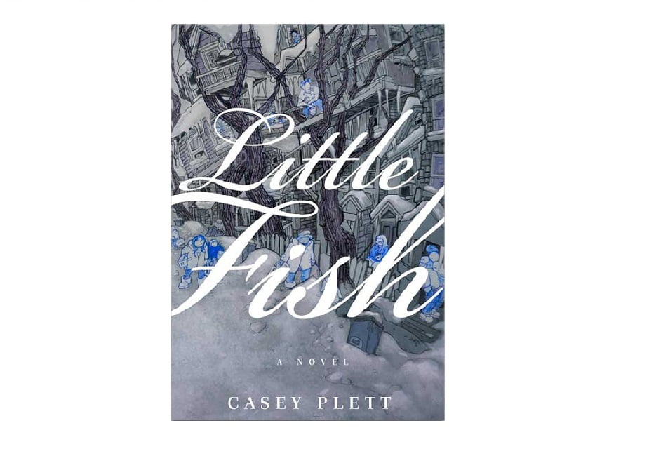 lgbt nella letteratura little fish libro copertina