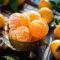 10 benefici dell’olio essenziale di mandarino: ecco i più potenti